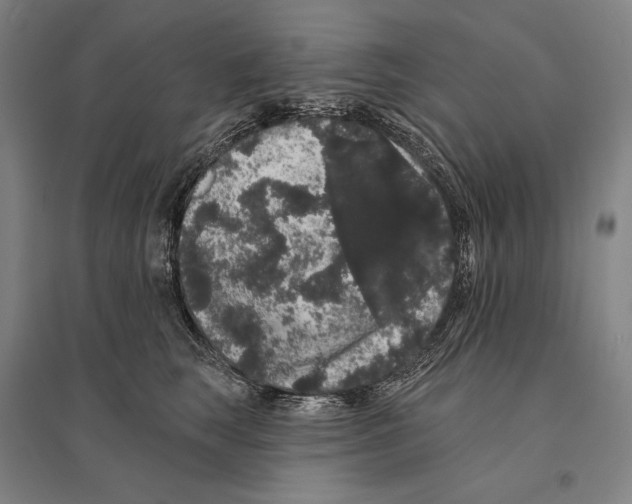 X0000095510663200801111414