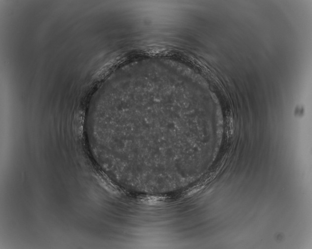 X0000095510664200801111414