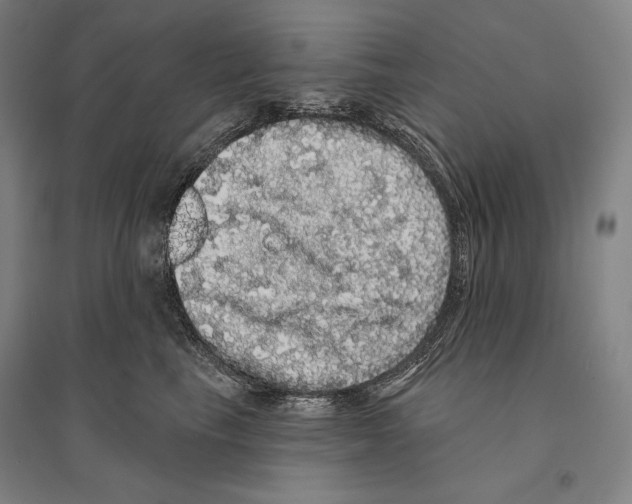 X0000095510665200801111414