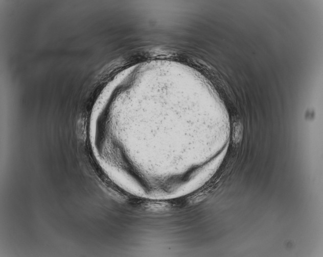 X0000095510666200801111414