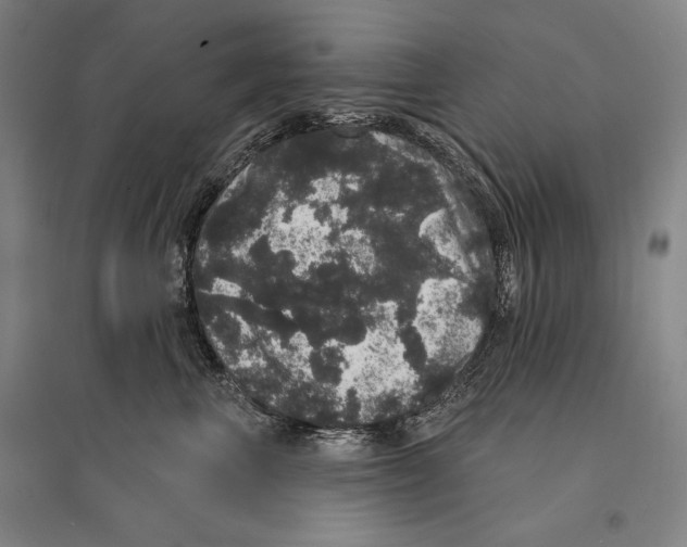 X0000095510667200801111414