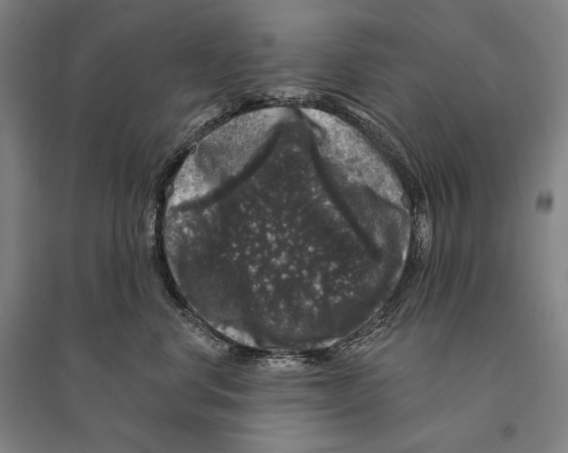 X0000095510668200801111414