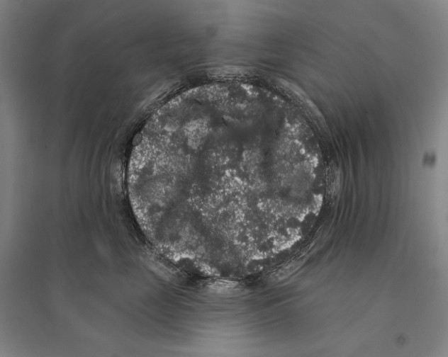 X0000095510669200801111414