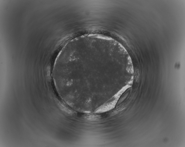 X0000095510670200801111414