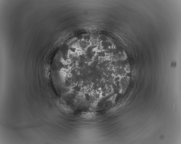 X0000095510671200801111414