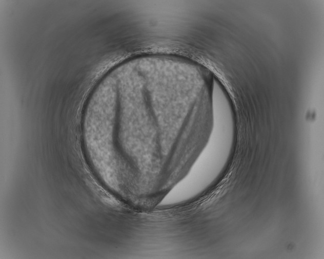 X0000095510673200801111413