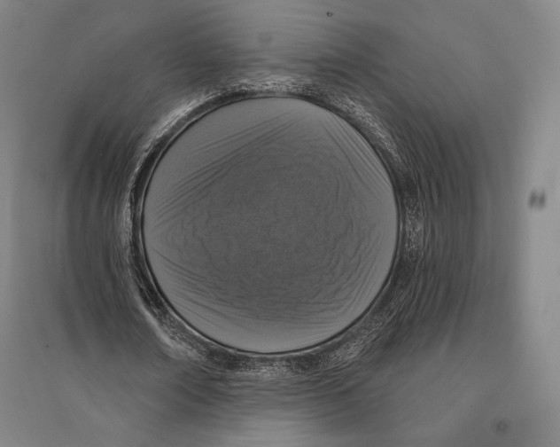 X0000095510674200801111413