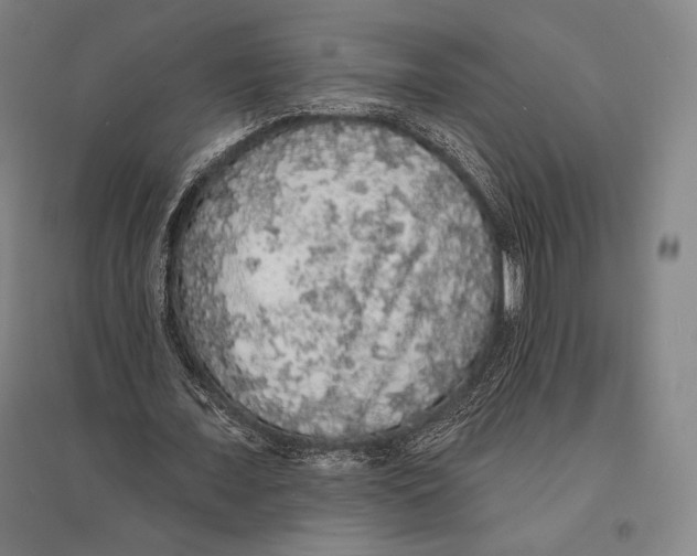 X0000095510675200801111413