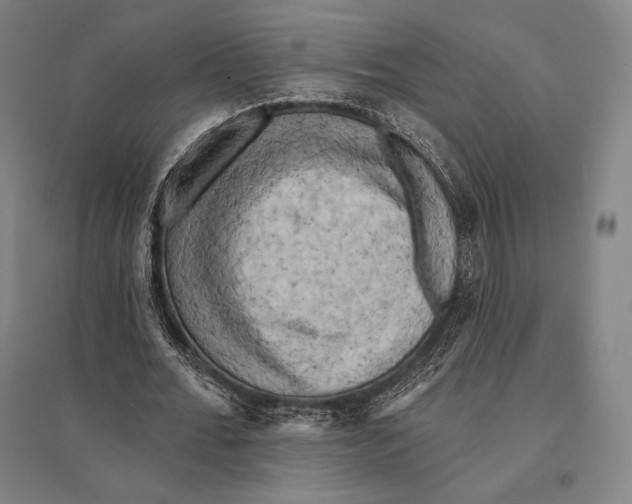X0000095510676200801111413