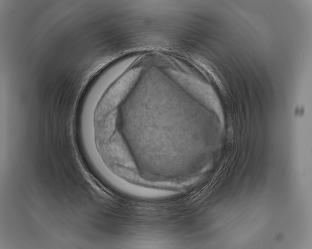 X0000095510677200801111413