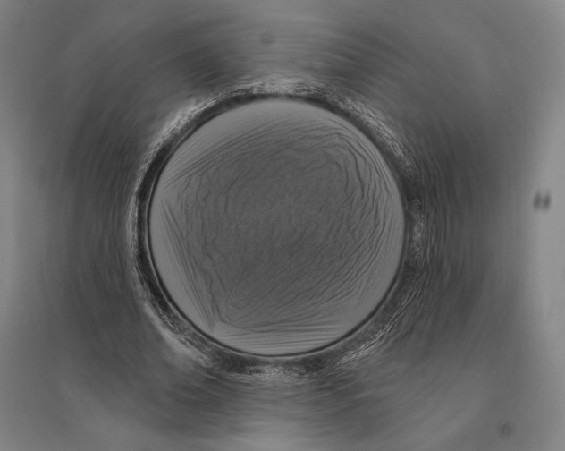 X0000095510678200801111413