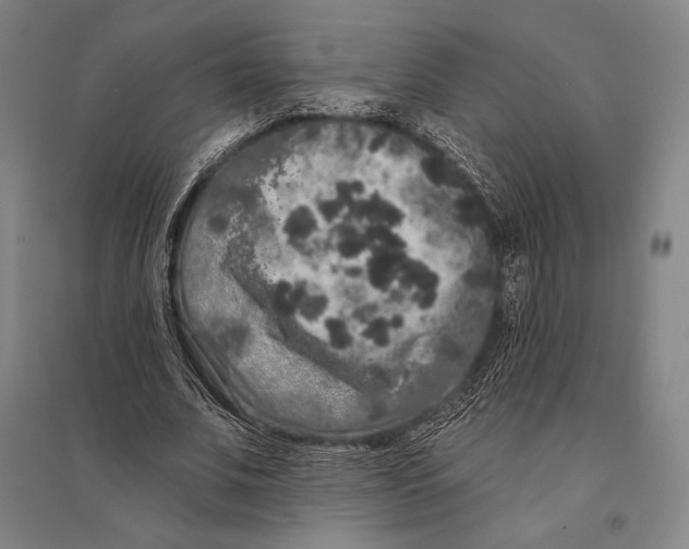 X0000095510679200801111413