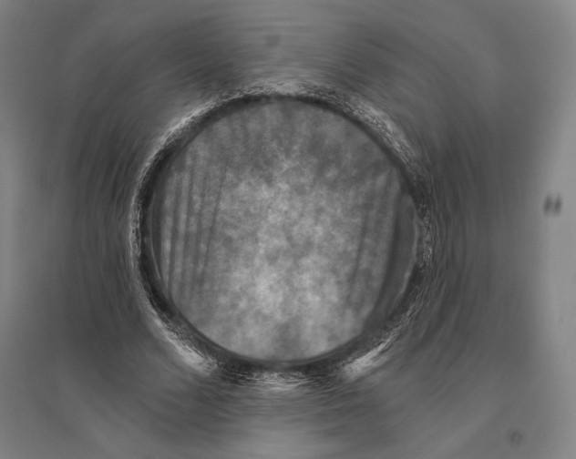 X0000095510680200801111413