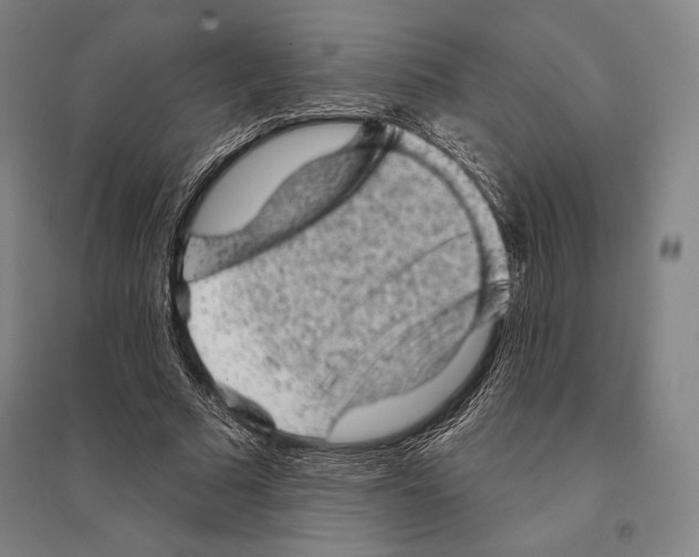 X0000095510681200801111413