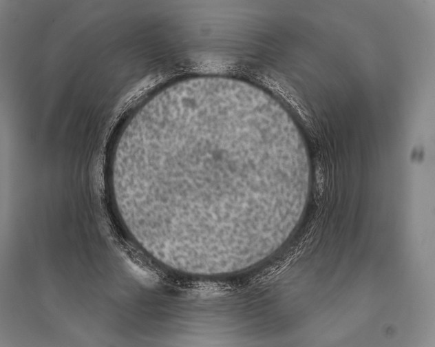 X0000095510682200801111413