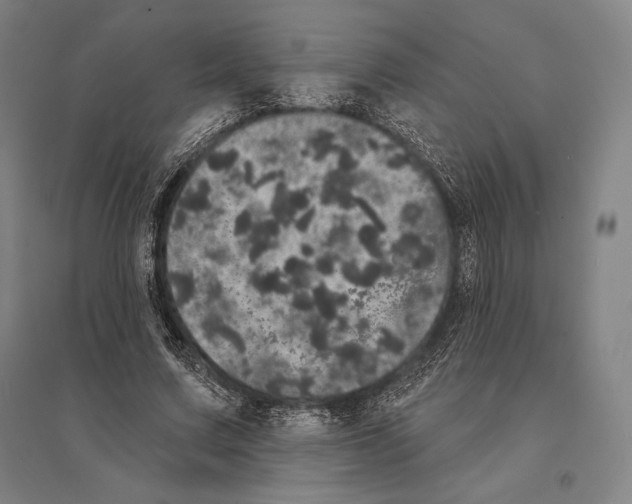 X0000095510683200801111413