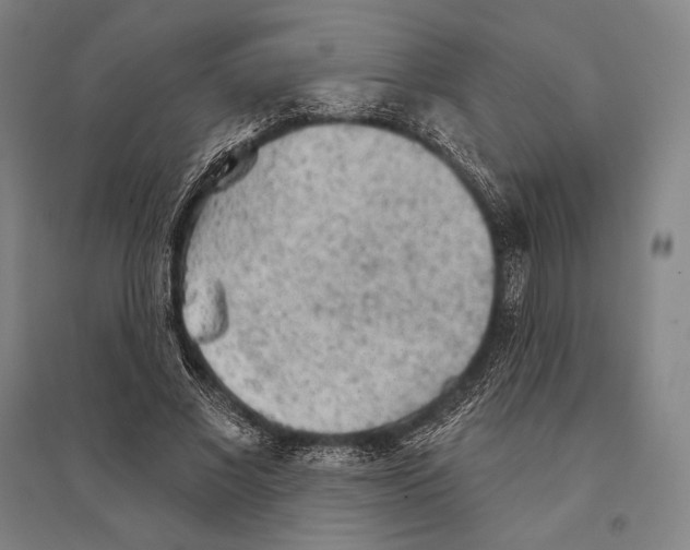 X0000095510685200801111413