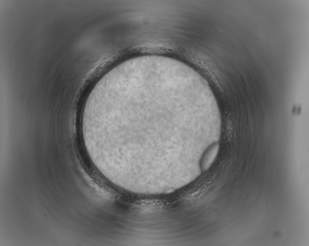 X0000095510686200801111413