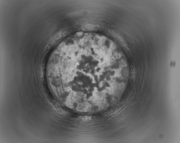 X0000095510687200801111413