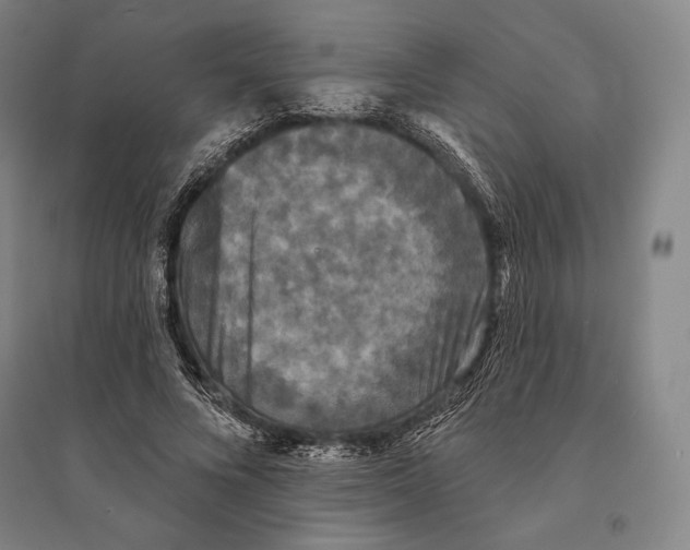 X0000095510688200801111413