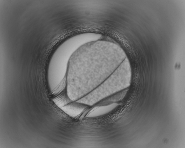 X0000095510689200801111413