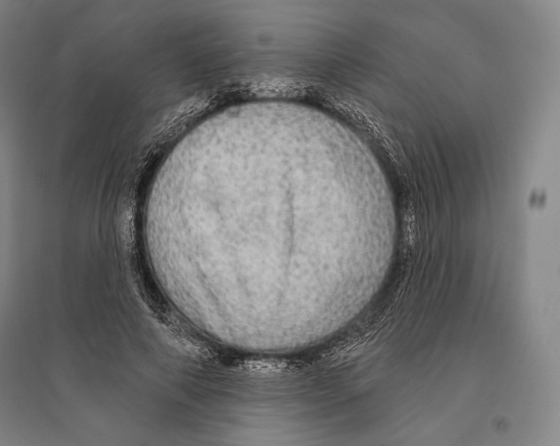 X0000095510690200801111413