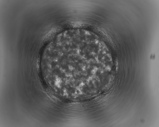 X0000095510691200801111413