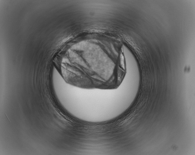 X0000095510692200801111413