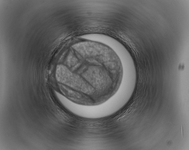 X0000095510693200801111413