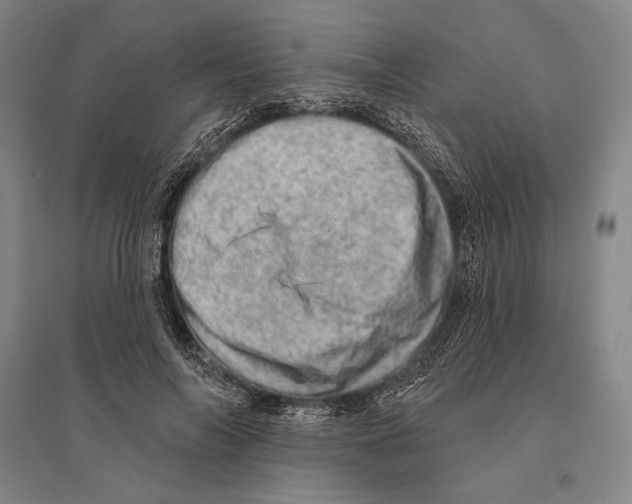 X0000095510694200801111413