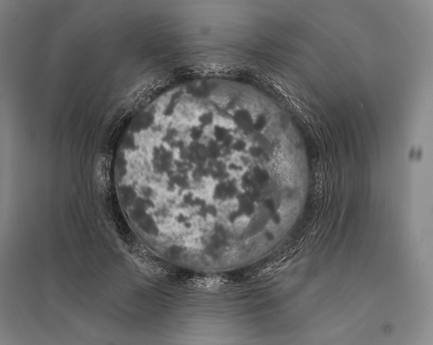 X0000095510695200801111413