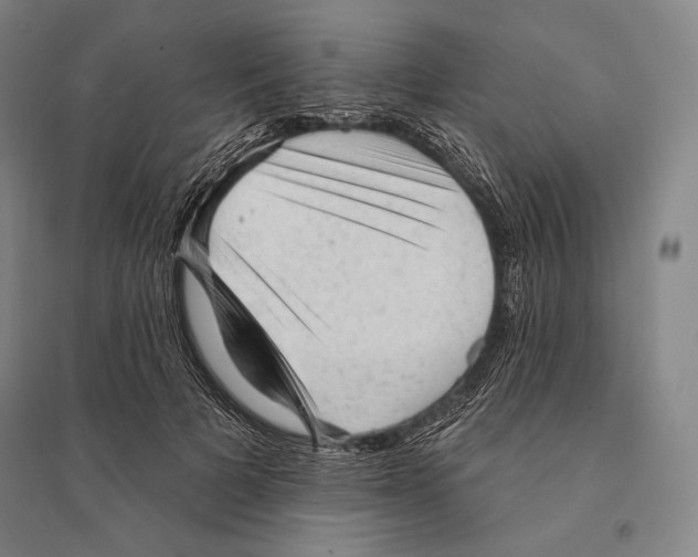X0000095510697200801111413