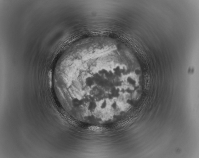 X0000095510699200801111413