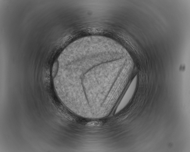 X0000095510700200801111413