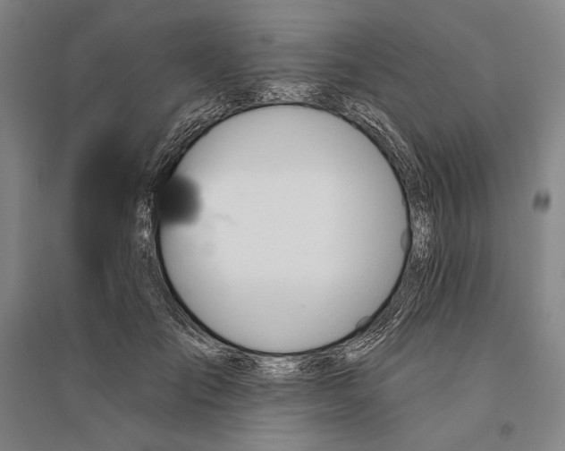X0000095510701200801111413