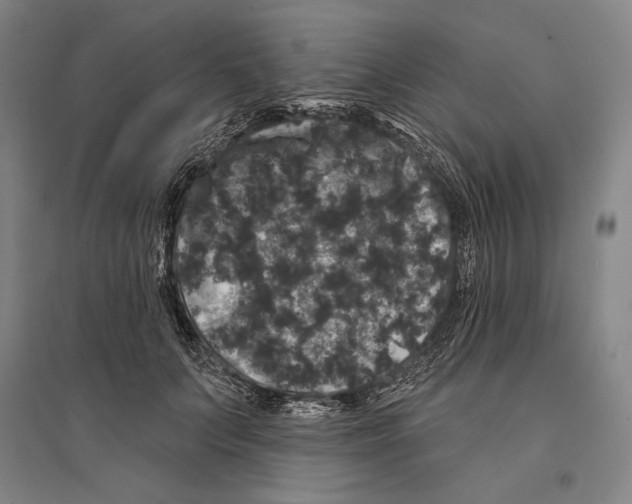 X0000095510703200801111413