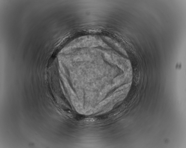 X0000095510704200801111413