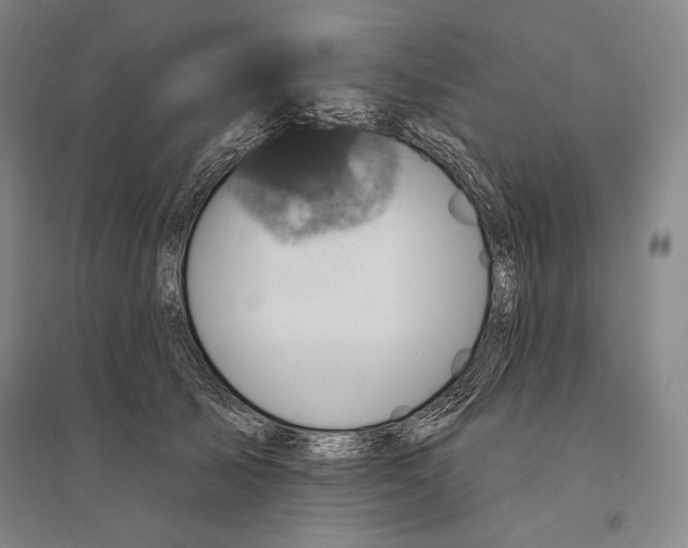 X0000095510705200801111413