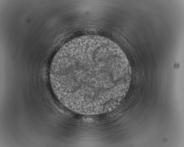 X0000095510706200801111413