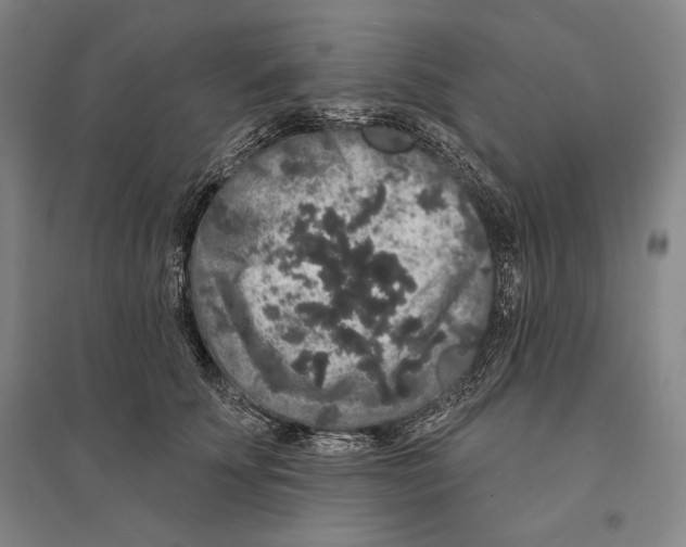X0000095510707200801111413