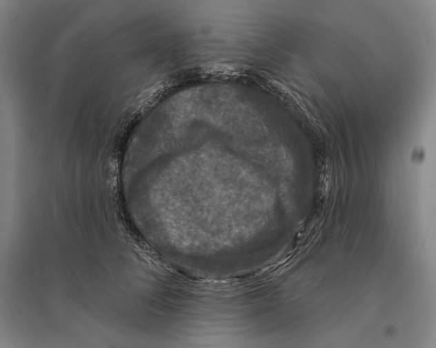X0000095510708200801111413
