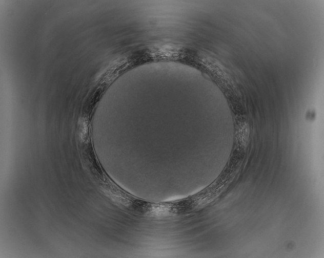 X0000095510709200801111413