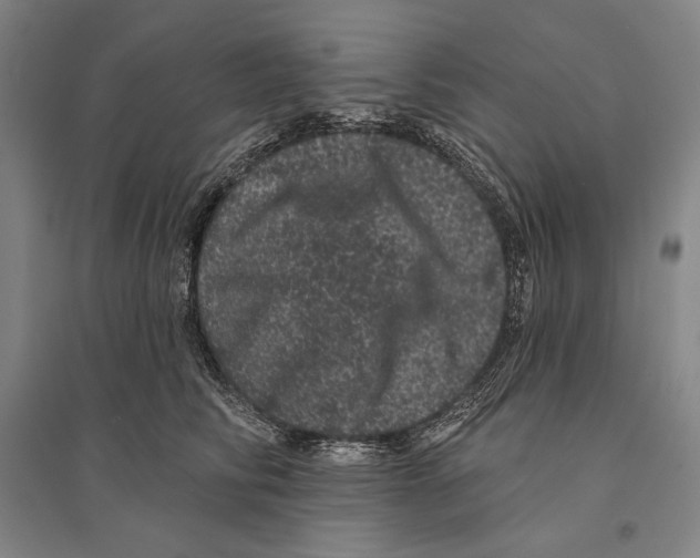 X0000095510710200801111413