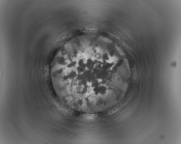 X0000095510711200801111413