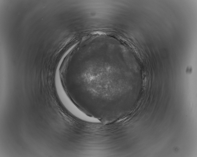 X0000095510712200801111413