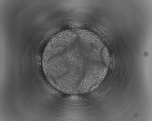 X0000095510714200801111413