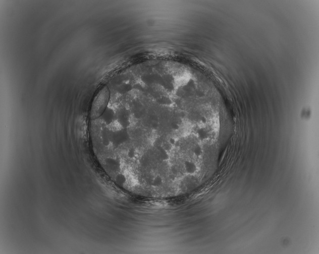 X0000095510715200801111413