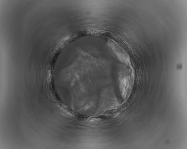 X0000095510716200801111413