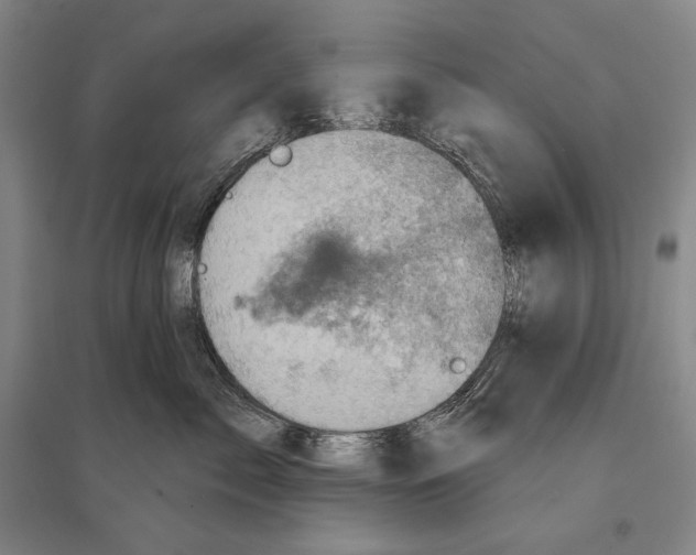 X0000095510717200801111413