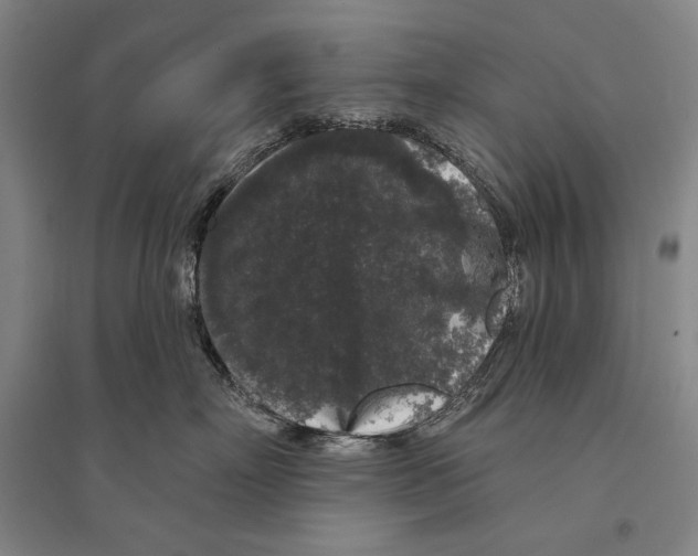 X0000095510718200801111413